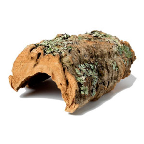 Cork Bark (Round) SIZES AVAILABLE DCBR GlobalGeckos.co.uk